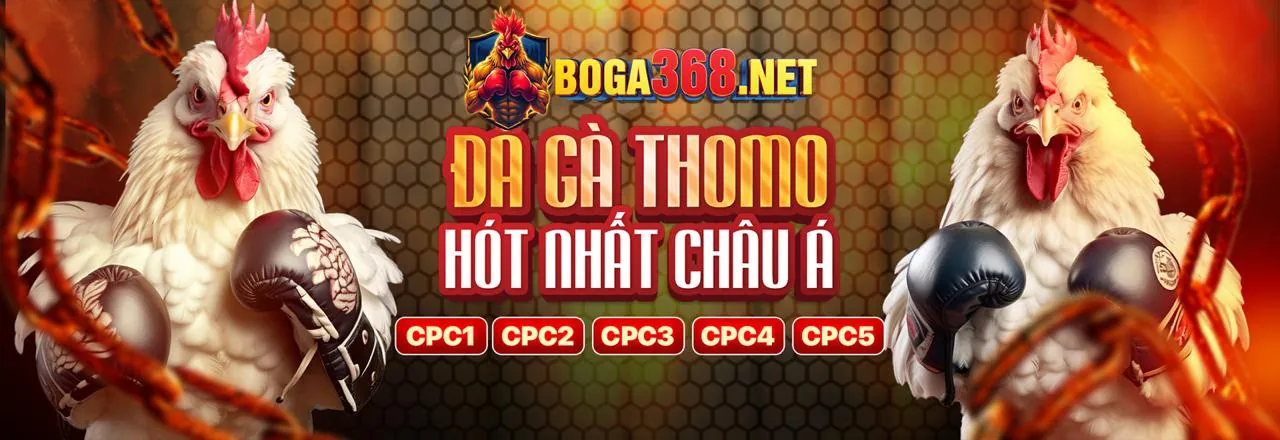 Đá gà trực tuyến 7up99 chính thức
